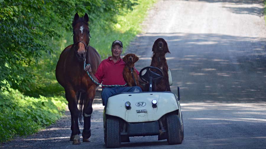 Cart Ride