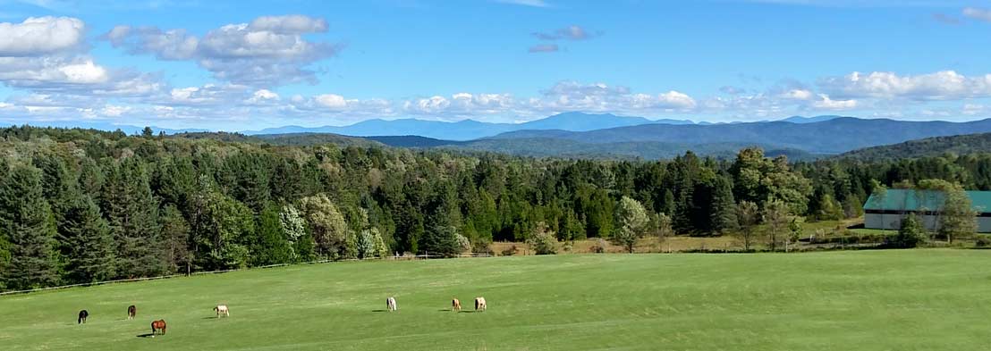 Greenbank Hollow Farm