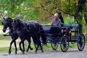 Cart Ride