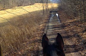 Trailride