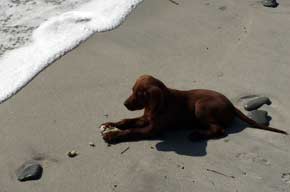 On The Beach